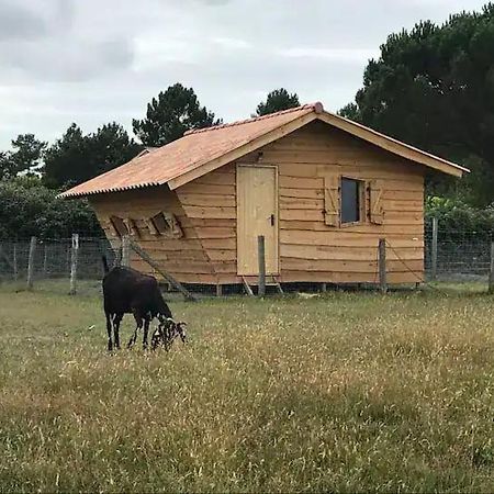 Gite - La Ferme A La Plage Le Porge Esterno foto