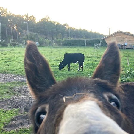 Gite - La Ferme A La Plage Le Porge Esterno foto