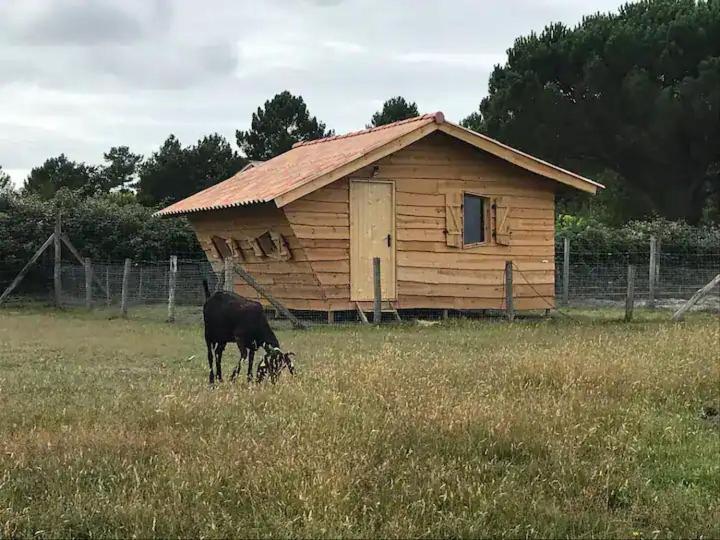 Gite - La Ferme A La Plage Le Porge Esterno foto